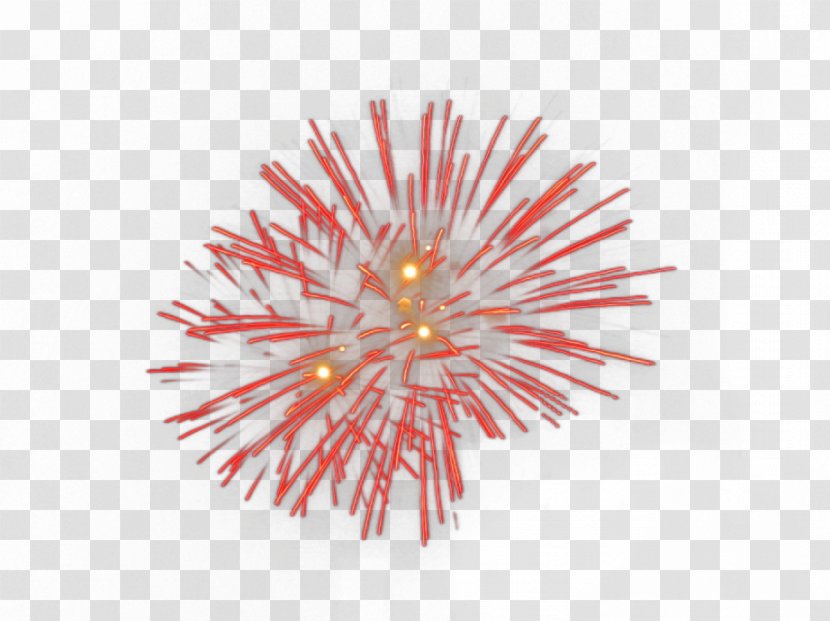 Red Fireworks Designer Computer File - Cartoon - Rain Creatives Transparent PNG