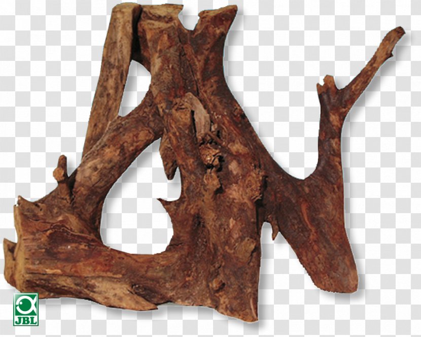 Driftwood Aquarium Root Bog-wood Aquarien Terrarien - Antler - Wood Transparent PNG