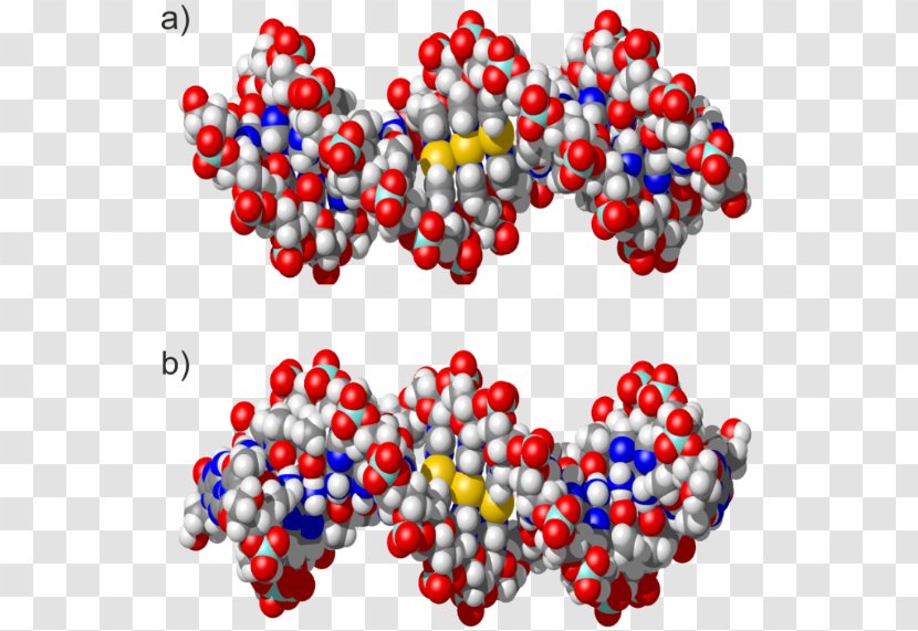 Imidazole Pyridine Bead Base Pair - Point - 4methylimidazole Transparent PNG