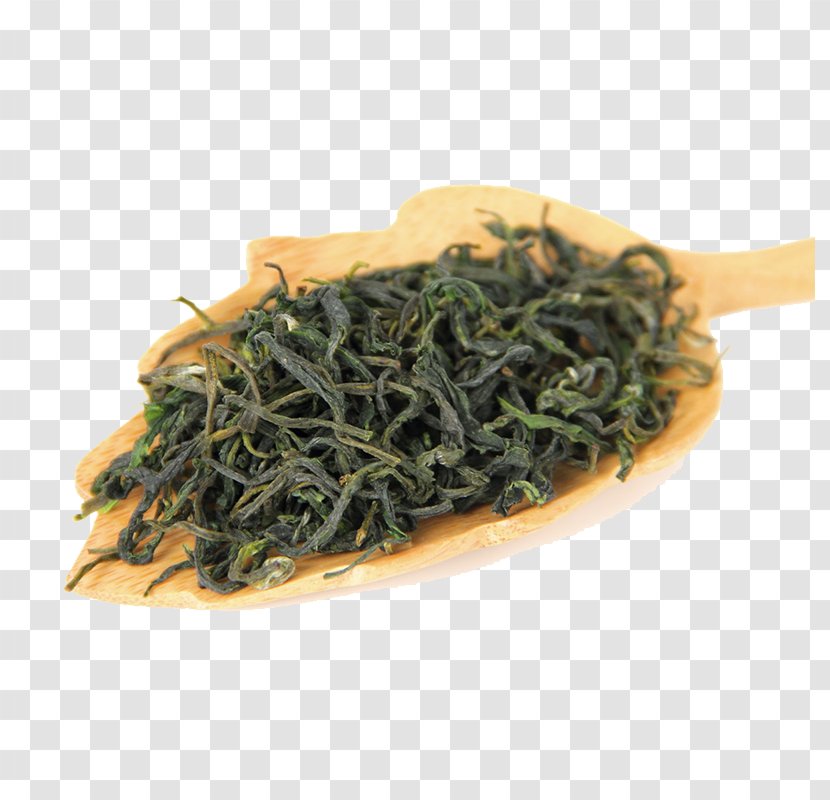 Green Tea Biluochun Nilgiri Bancha - Yujacha - Spoonful Of Transparent PNG