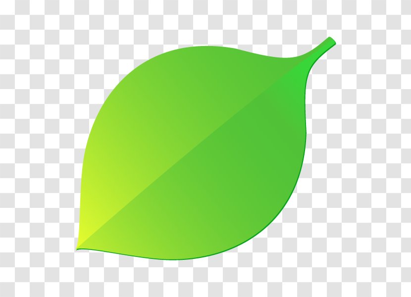 Illustration Leaf Product Design Branch - Computer Graphics Transparent PNG