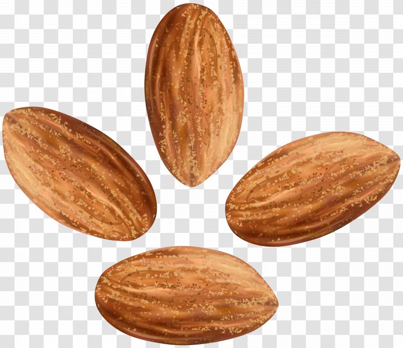Nut Clip Art - Peanut - Almond Transparent PNG