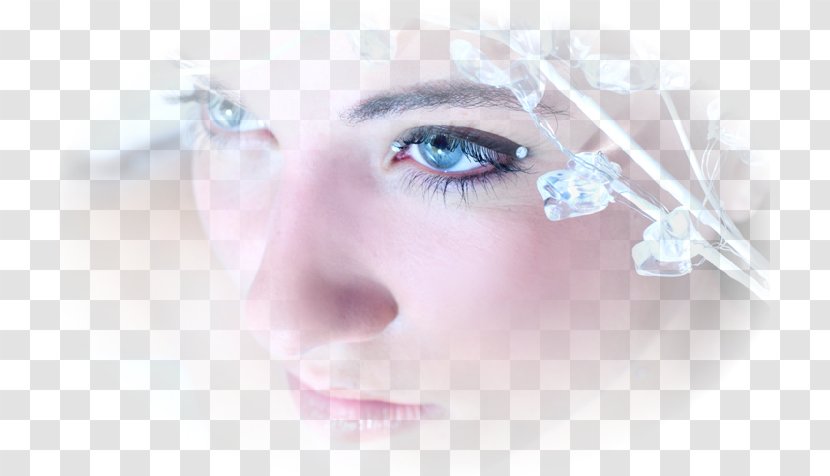 Eyelash Extensions Eyebrow Face Beauty - Portrait - Visage Transparent PNG