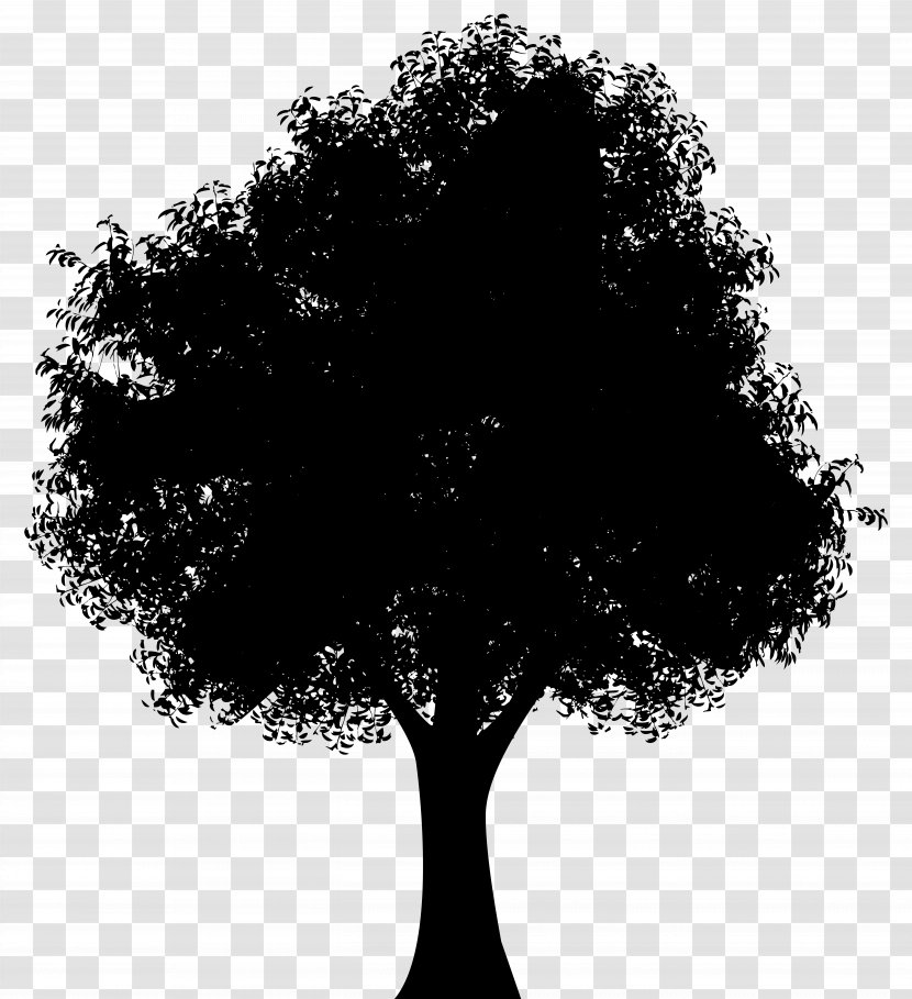 Silhouette Tree Woman Of The Promise Clip Art - Line - Image Transparent PNG