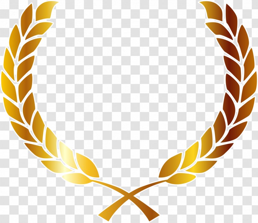 Laurel Wreath Bay Euclidean Vector Clip Art - Gold - Golden Rice Frame Transparent PNG