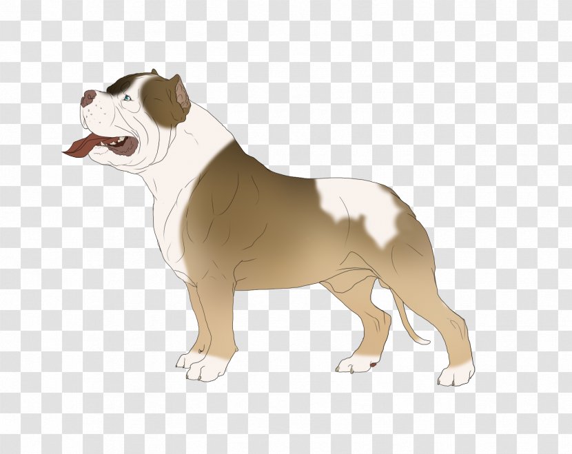 Dorset Olde Tyme Bulldogge English Toy Bulldog American Dog Breed - Puppy Transparent PNG