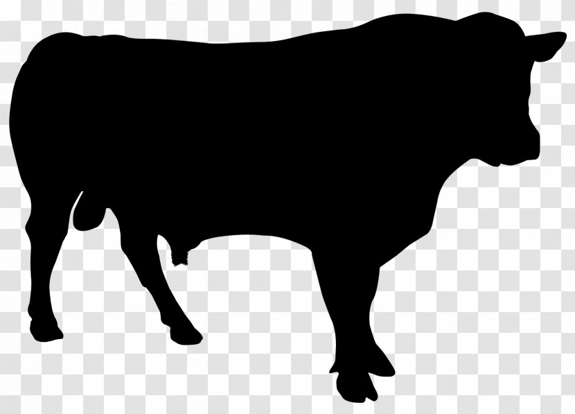 Cattle Vector Graphics Clip Art Royalty-free Illustration - Bull - Livestock Transparent PNG
