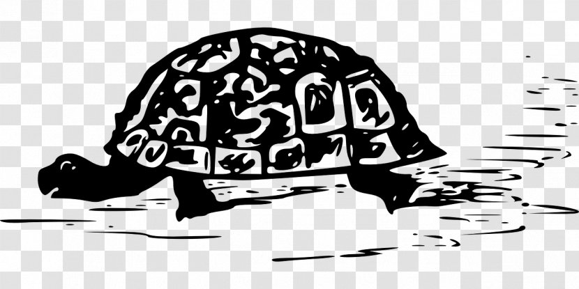 Turtle Reptile T-shirt Hermann's Tortoise Transparent PNG