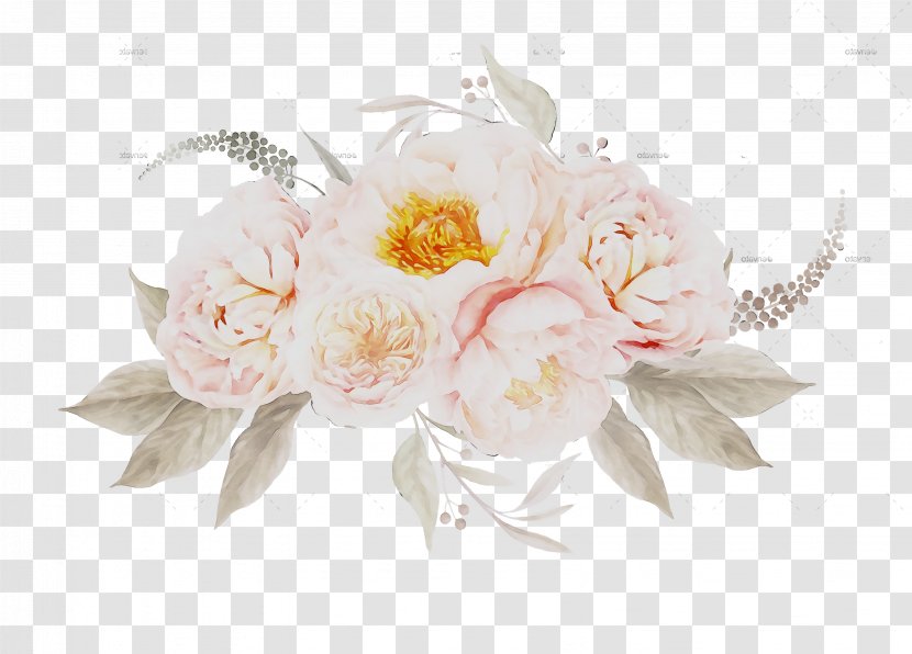 Cabbage Rose Floral Design Cut Flowers Flower Bouquet - Headpiece Transparent PNG