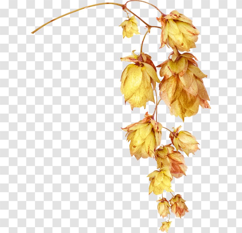 Flower Leaf Gold - Artificial - A Bunch Of Dead Leaves Child Transparent PNG
