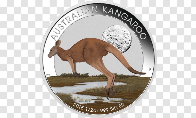 Perth Mint Coin Silver Gold - Plating Transparent PNG