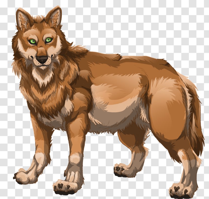 Red Fox Dog Drawing Art Illustration - Fur Transparent PNG
