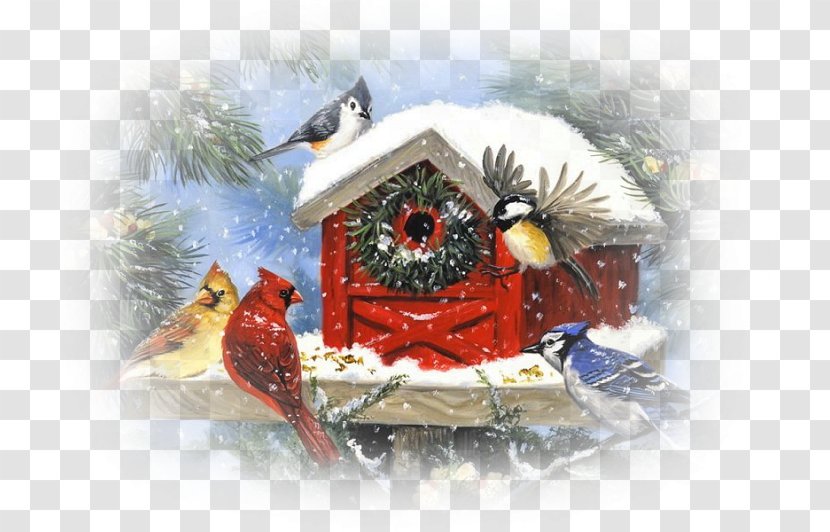 Bird Christmas Tree Northern Cardinal Decoration - Market - Parrot Transparent PNG