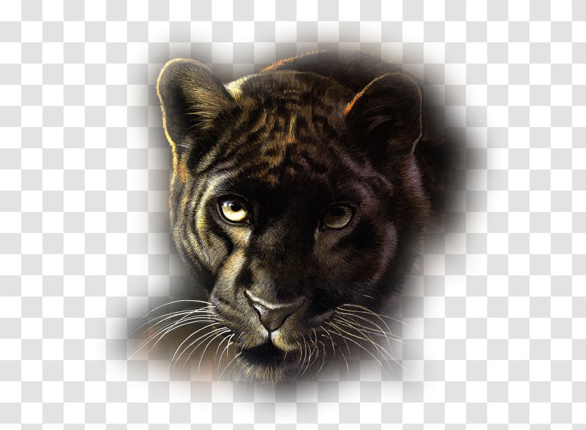 Panther Cat Leopard Tiger - Wildlife Art Transparent PNG