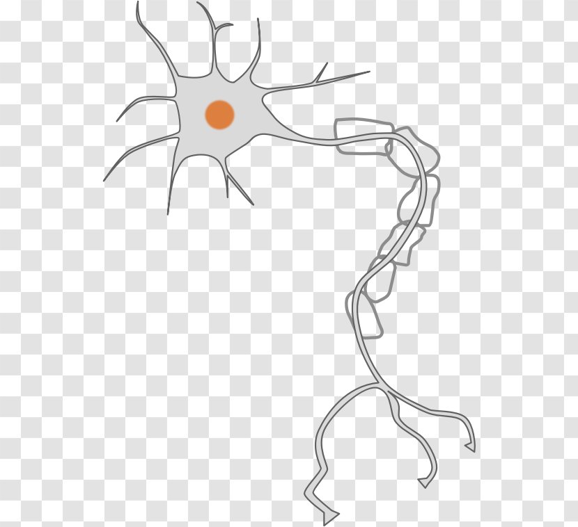 Neuron Nervous System Axon Clip Art - Heart - Cliparts Transparent PNG