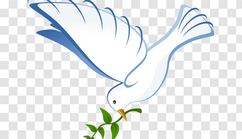 Pigeons And Doves Clip Art As Symbols Release Dove - Peace - Holy Background Transparent PNG