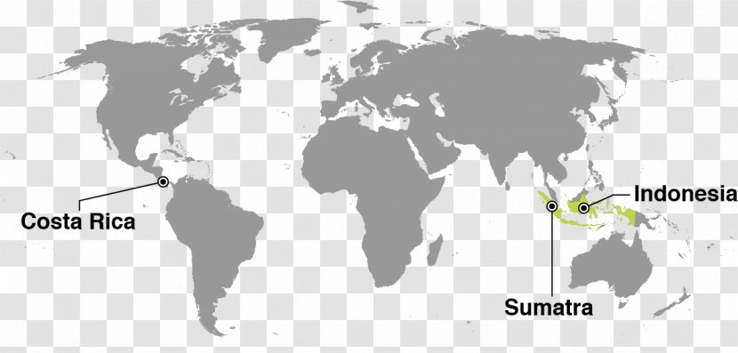 World Map Globe - Physische Karte Transparent PNG