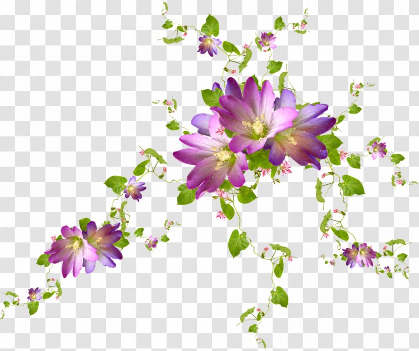Cut Flowers Purple Violet Floral Design - Branch - Lavanda Transparent PNG