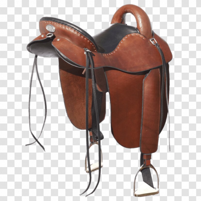 Horse English Saddle Endurance Riding Equestrian - Dressage Transparent PNG