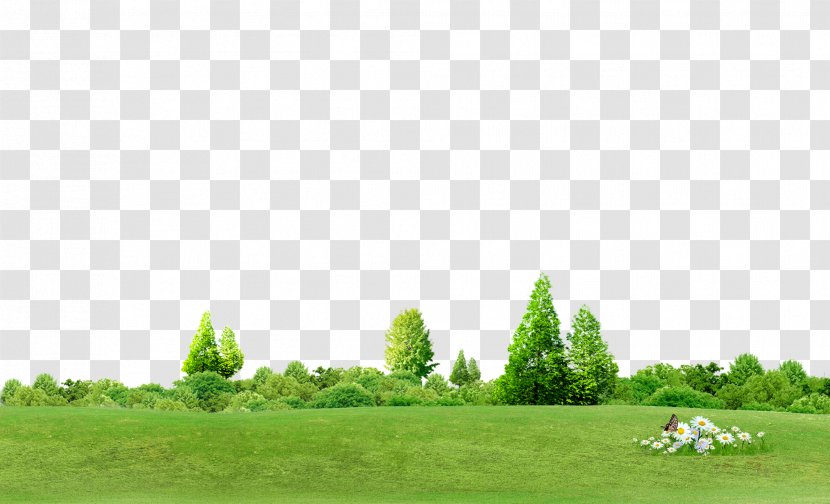 Chroma Key Tree Computer File - Lawn - Trees Background Transparent PNG