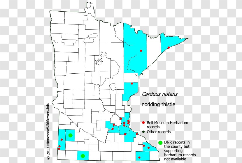 Minnesota Line Map Point Land Lot Transparent PNG