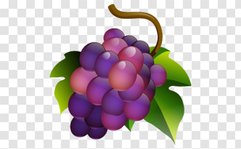 Muscadine Grape Common Vine Wine - Seedless Fruit Transparent PNG