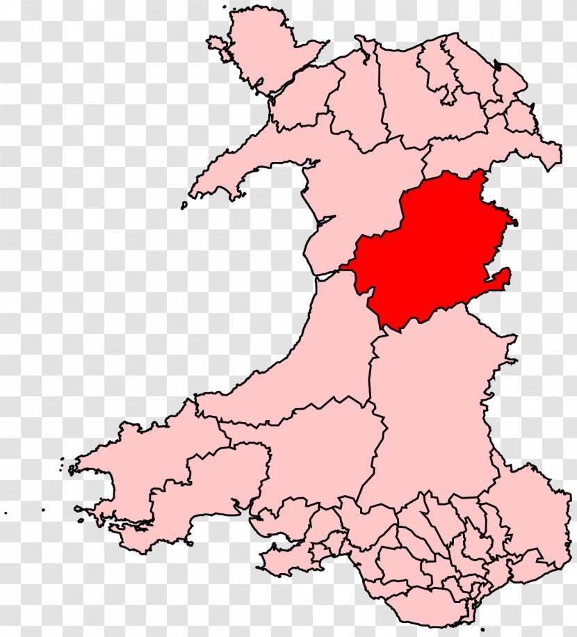 Wales Montgomeryshire Blaenau Gwent Rhondda Electoral District - General Election - Map Transparent PNG
