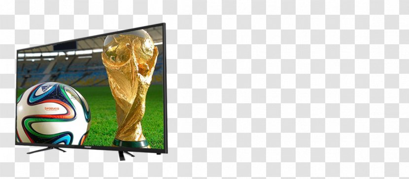 Nigeria Television News Spain National Football Team Display Device - International Trade Transparent PNG