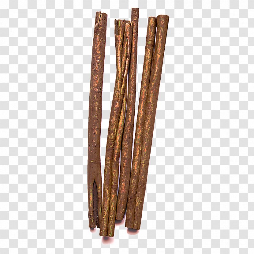 Cinnamon Stick Wood Plant Transparent PNG