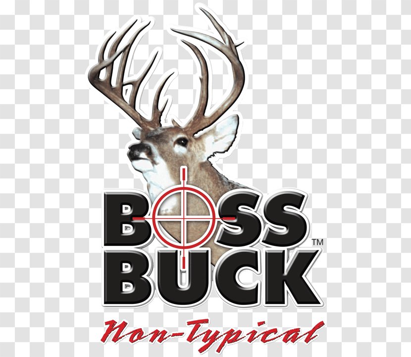 White-tailed Deer Boss Buck Hunting - Triple H Transparent PNG