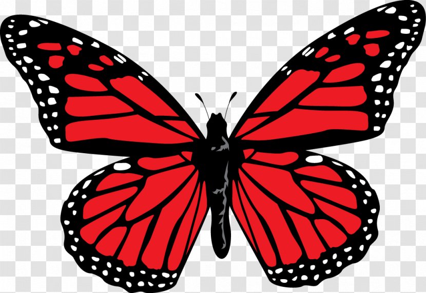 Monarch Butterfly Ulysses Viceroy Transparent PNG