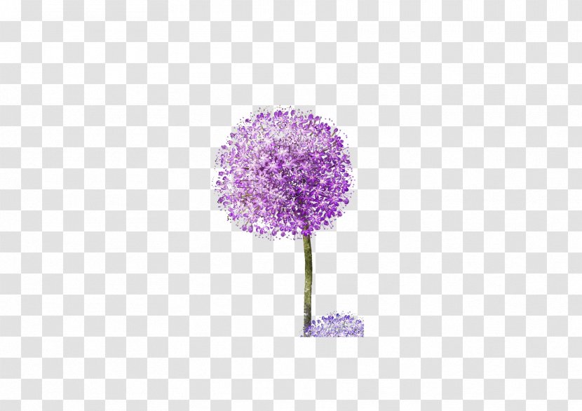 Dandelion Purple Wallpaper Transparent PNG