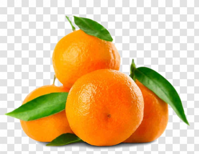 Orange - Mandarin - Tangelo Transparent PNG