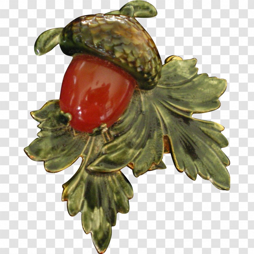 Food Vegetable Fruit Tree - Acorn Squash Transparent PNG