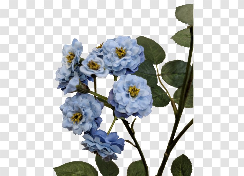 Floral Design Cut Flowers Rose Family - Blue Transparent PNG