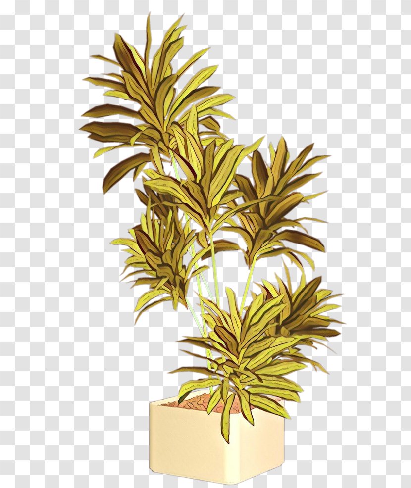 Palm Tree Drawing - Flowerpot - Herb Ananas Transparent PNG
