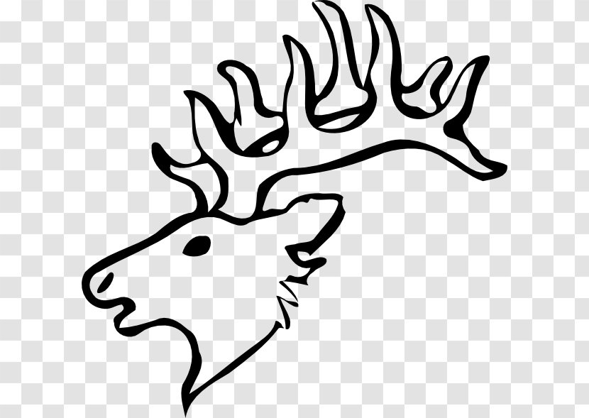 White-tailed Deer Reindeer Drawing Clip Art - Organism - Jake Transparent PNG