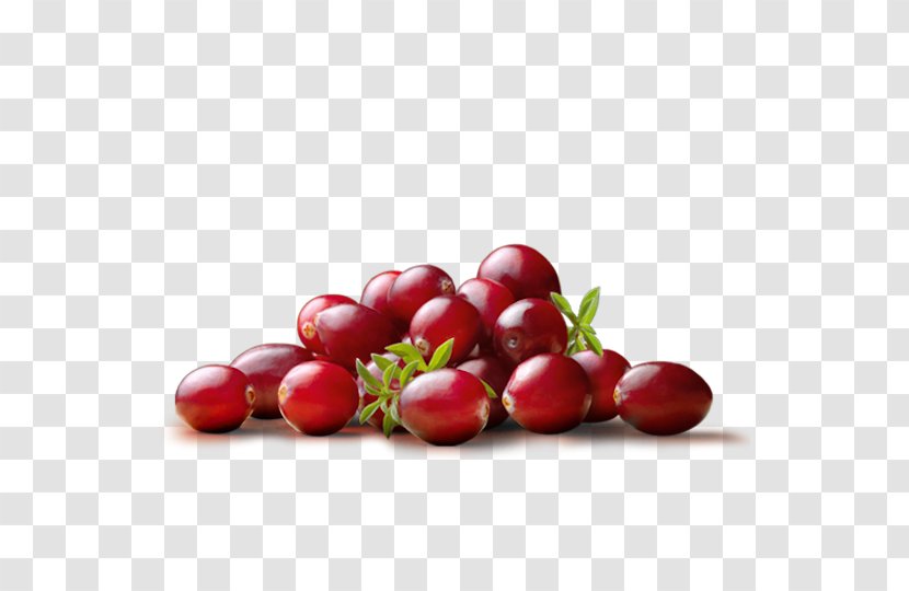 Cranberry Juice Kissel Blueberry - Schisandra Transparent PNG
