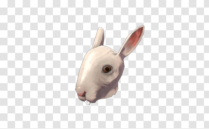 Domestic Rabbit Team Fortress 2 Hare Snout Transparent PNG