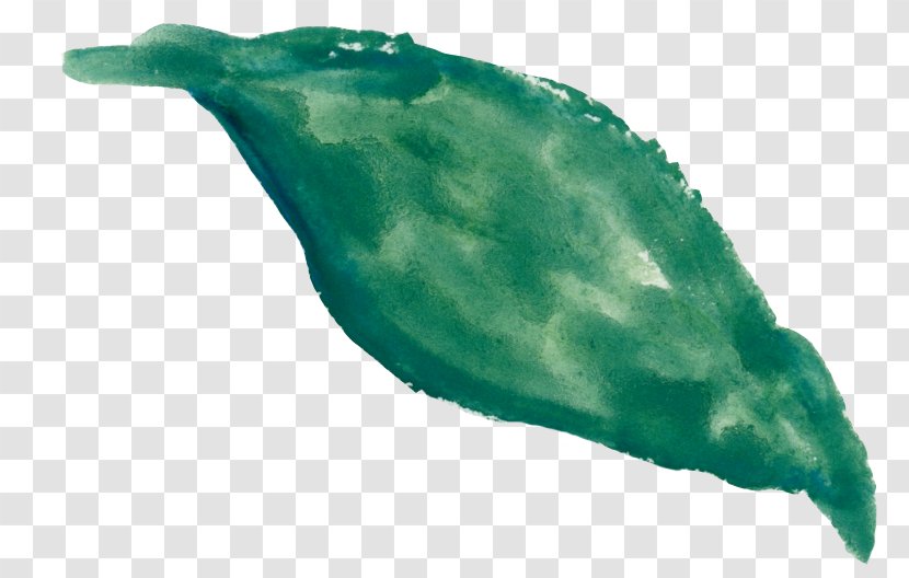 Marine Mammal - Green - Watercolor Leaves Transparent PNG