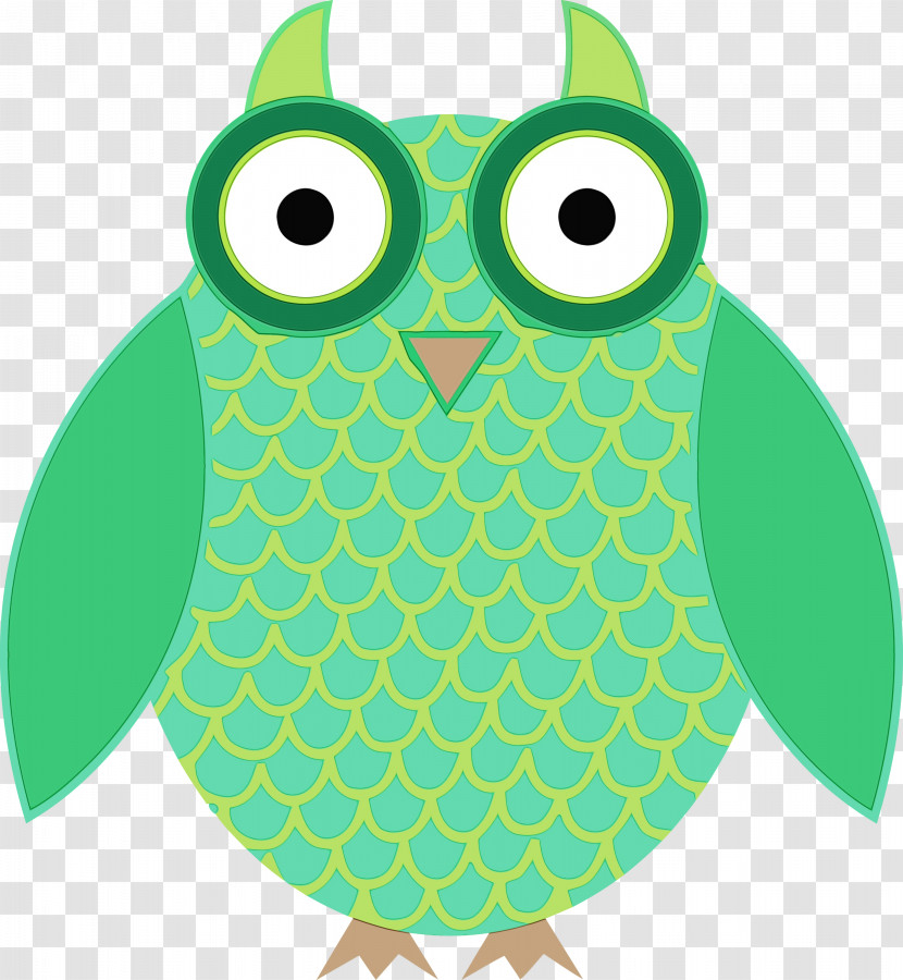 Owl Green Turquoise Bird Bird Of Prey Transparent PNG