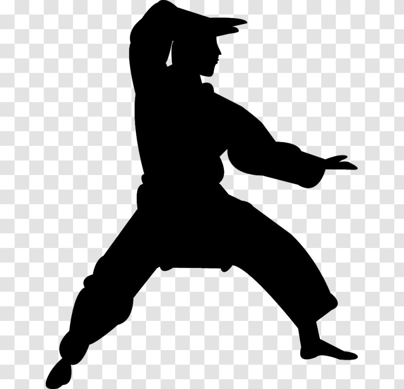 Chinese Martial Arts Karate Silhouette Kata Transparent PNG