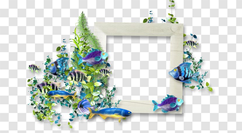 Picture Frames Photography - Flower - Design Transparent PNG