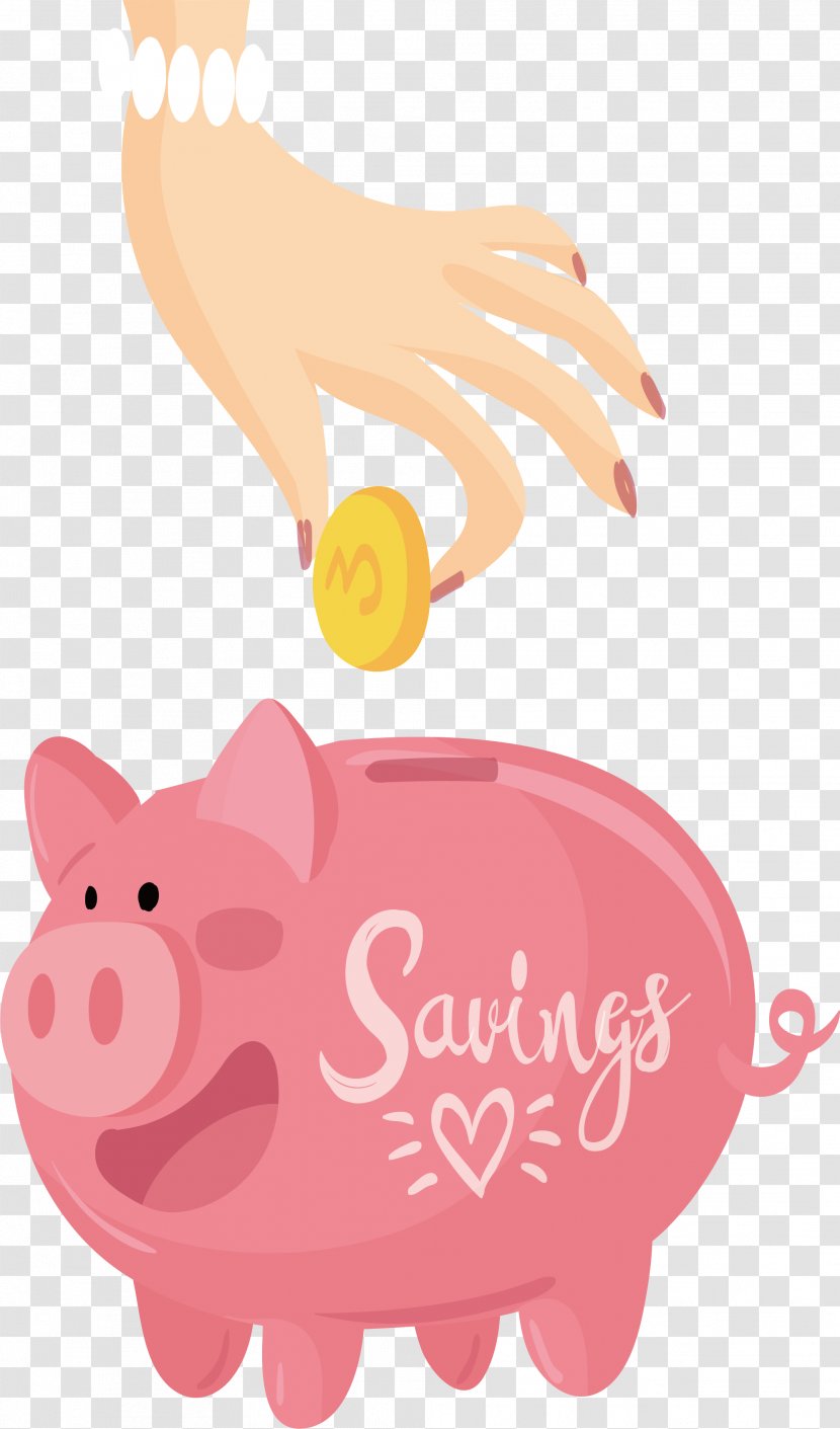 Domestic Pig Piggy Bank Gold Coin Alcancxc3xada - Pink - Put Coins Into The Transparent PNG