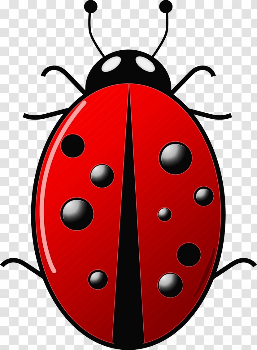 Ant Cartoon - Red Bugs Ladybug Transparent PNG