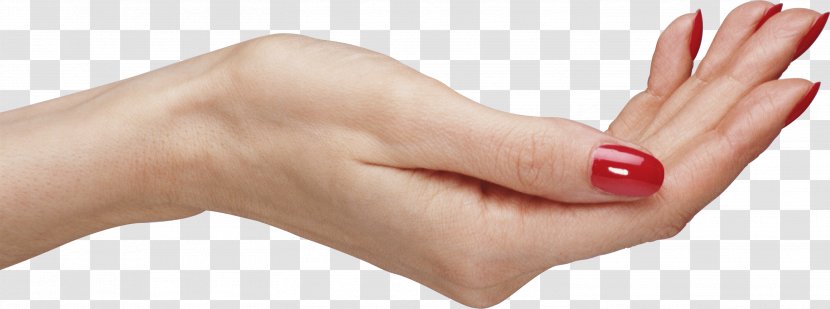 Hand Arm - Beauty - Palm Hands Image Transparent PNG