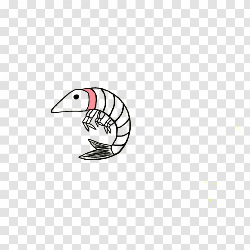 Bird Vertebrate Beak Feather Cartoon - Prawn Transparent PNG