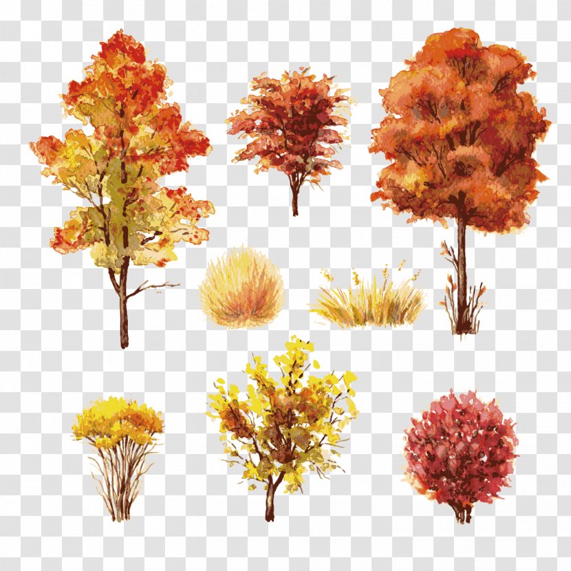 Shrub Autumn Leaf Color Tree - Stock Photography - Trees Transparent PNG