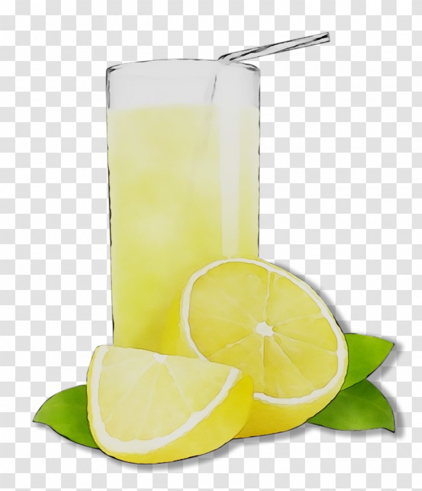 Limeade Lemon-lime Drink Limonana - Harvey Wallbanger - Citrus Transparent PNG