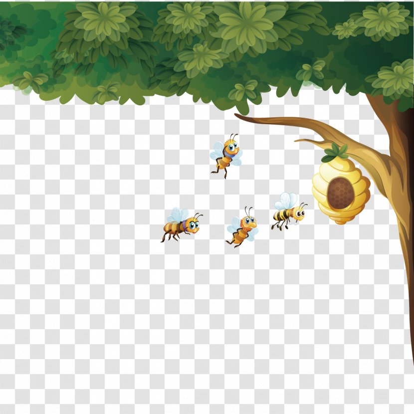 Beehive Honey Bee Euclidean Vector - Insect - Hive Transparent PNG